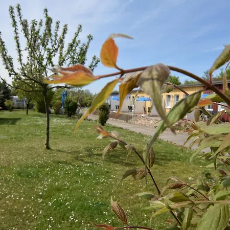 Charmante Mit Garten In Wiek شقة Wiek auf Rügen