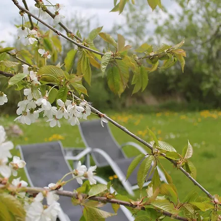 Charmante Mit Garten In Wiek * Wiek auf Ruegen